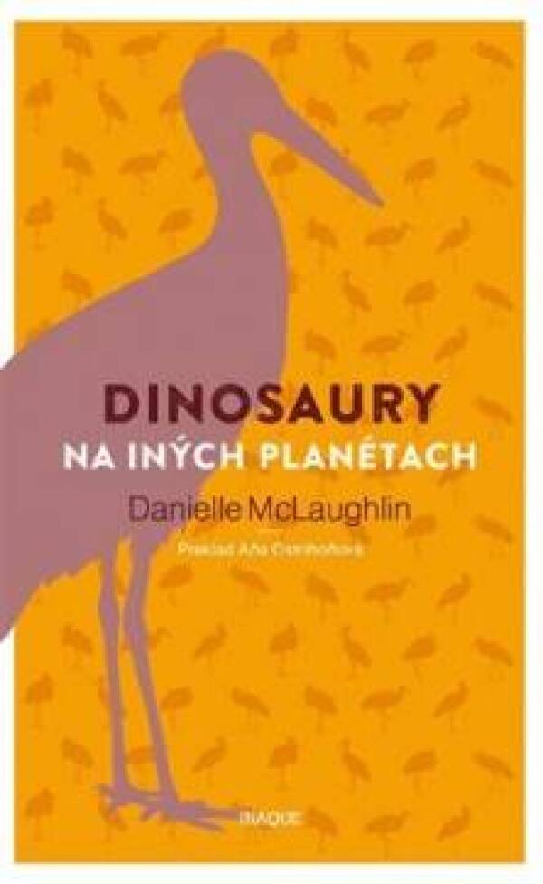 Danielle McLaughlin: DINOSAURI NA INÝCH PLANÉTACH