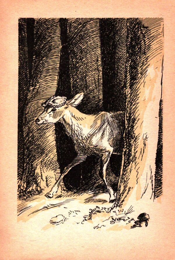 Rudo Moric: Z POĽOVNÍCKEJ KAPSY