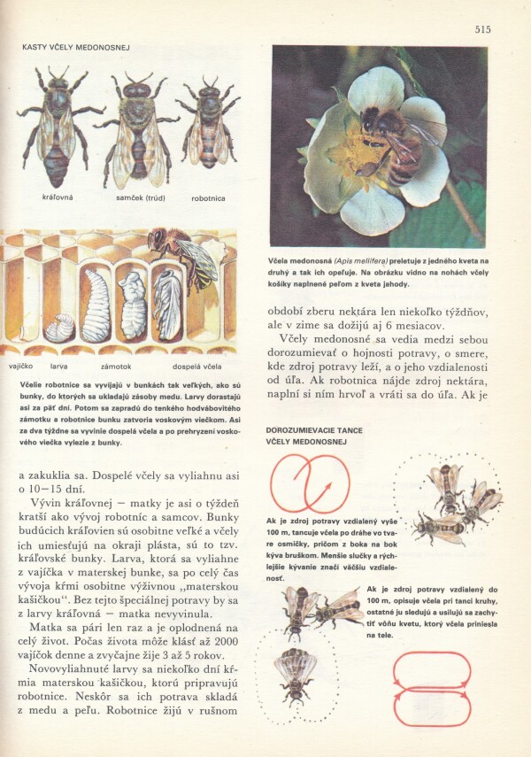 SVET ŽIVOČÍŠNEJ RÍŠE