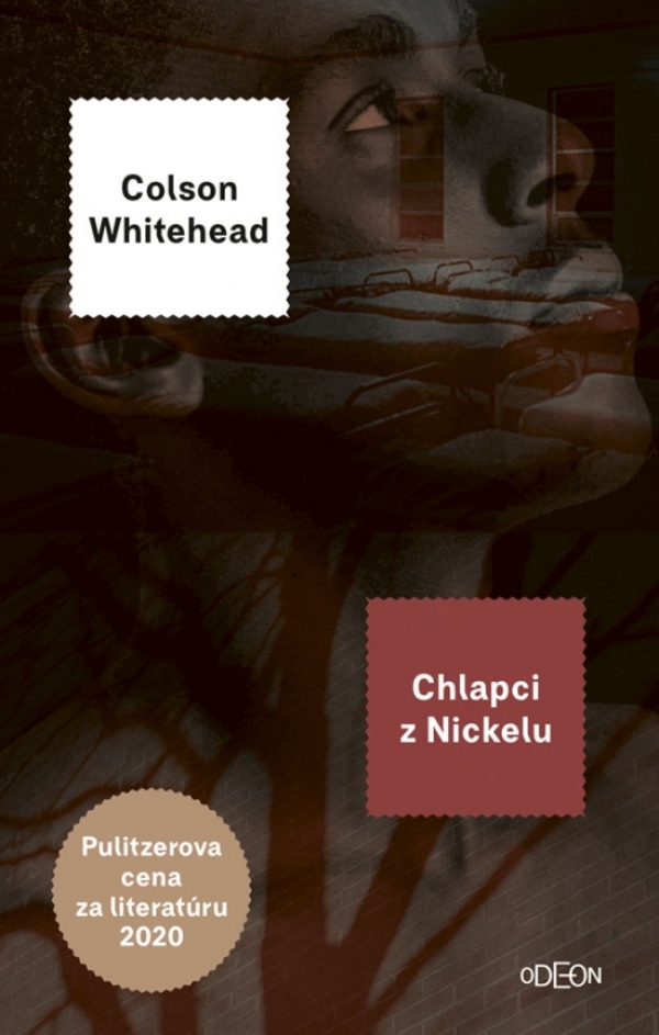 Colson Whitehead: CHLAPCI Z NICKELU