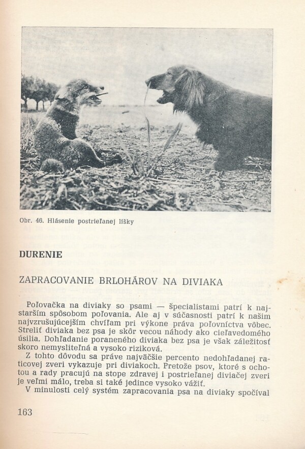 Rudolf Krasula: BRLOHÁRE - VŠESTRANNE UPOTREBITEĽNÉ PSY