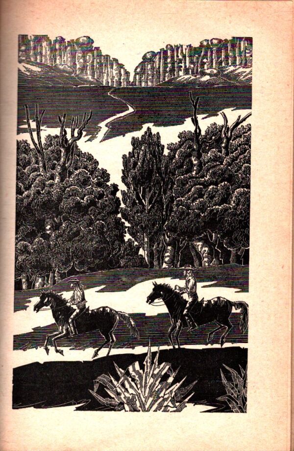Zane Grey: JAZDEC V MASKE
