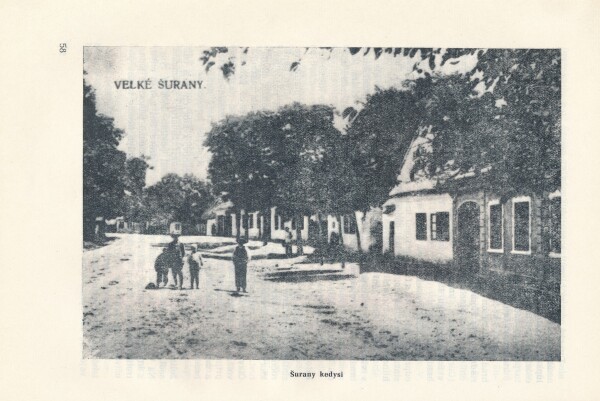 Ladislav Zrubec, Viliam Nemček: ŠURANY