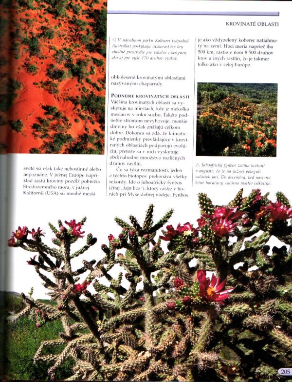 KRÁĽOVSTVO ŽIVOTA