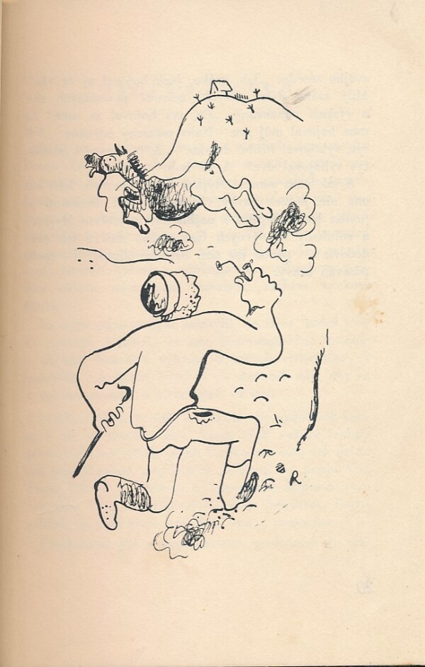 Terézia Vansová: SIROTA PODHRADSKÝCH