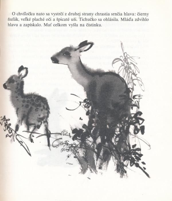 Rudo Moric: Z POĽOVNÍCKEJ KAPSY