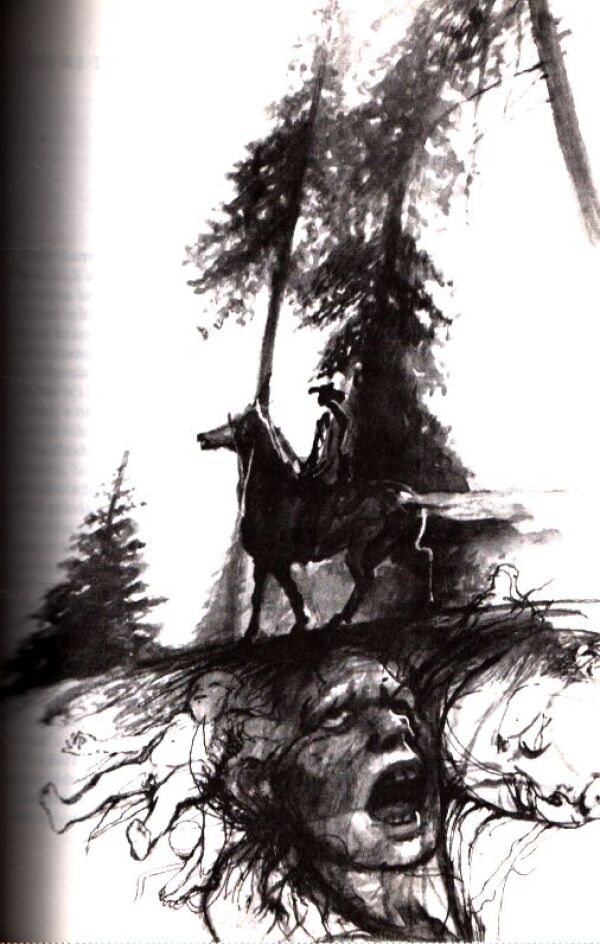 Trygve Gulbranssen: VĚČNĚ ZPÍVAJÍ LESY. VANE VÍTR Z HOR. NENÍ JINÉ CESTY