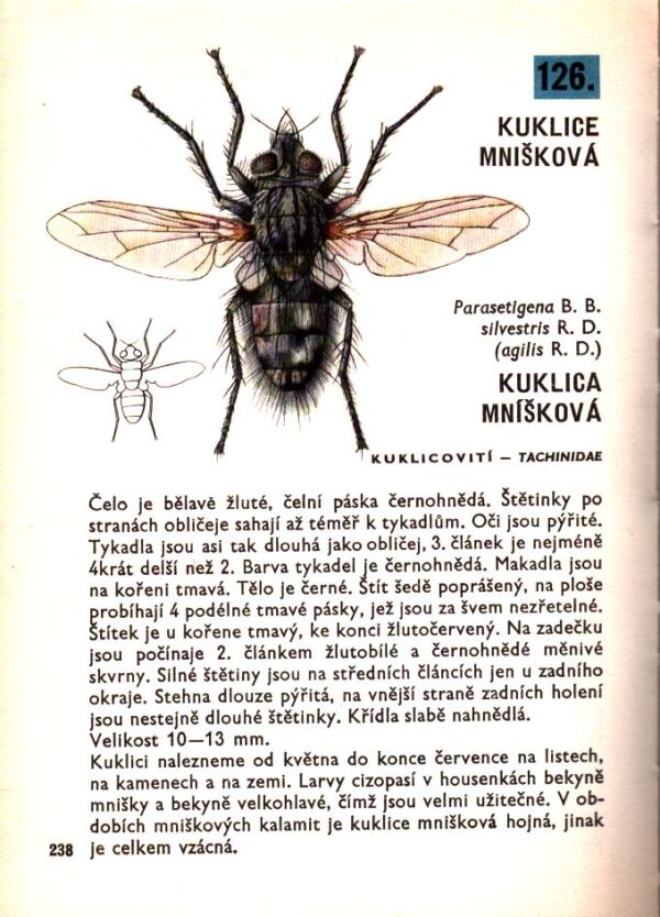 Vladimír Javorek: KAPESNÍ ATLAS DVOUKŘÍDLÉHO HMYZU