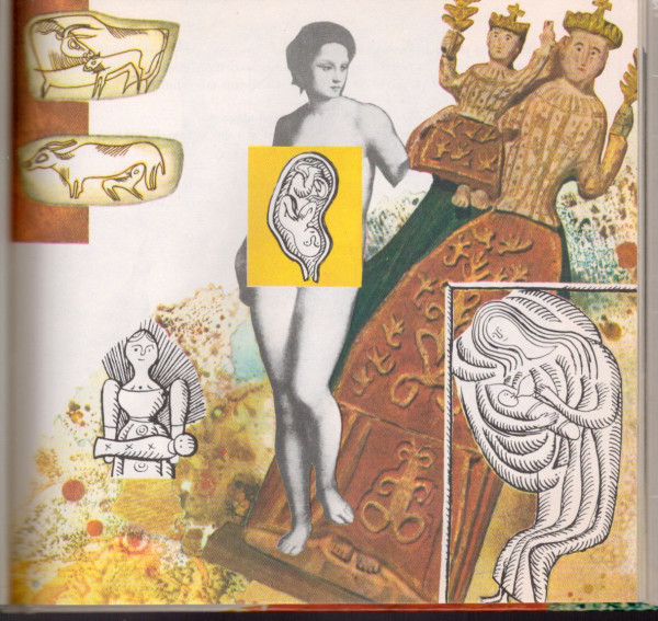 Jiřina Strmeňová: DONIESOL MA BOCIAN?