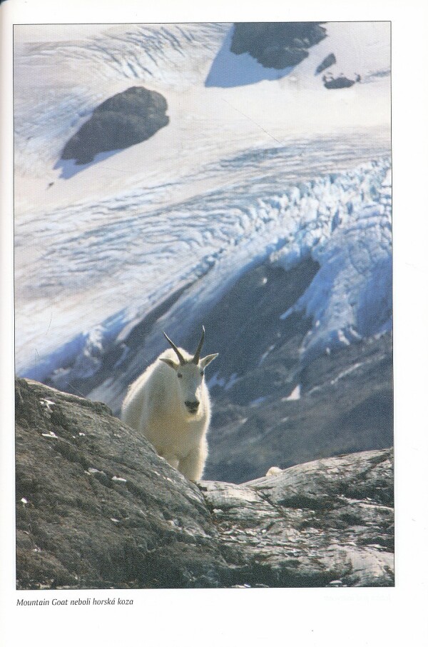 Miroslav Podhorský: ALJAŠKOU A KANADSKOU DIVOČINOU