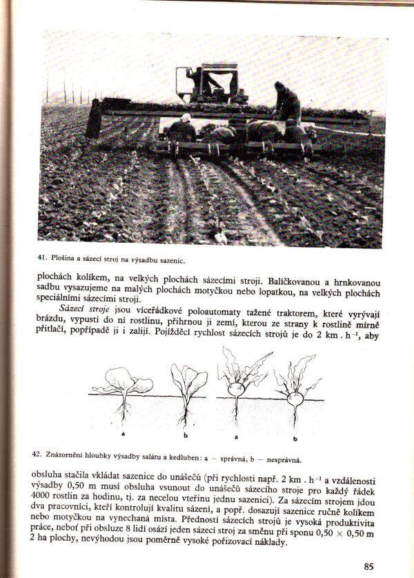 A. Kropáč a kol.: ZELINÁŘSTVÍ