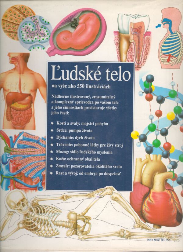 ĽUDSKÉ TELO