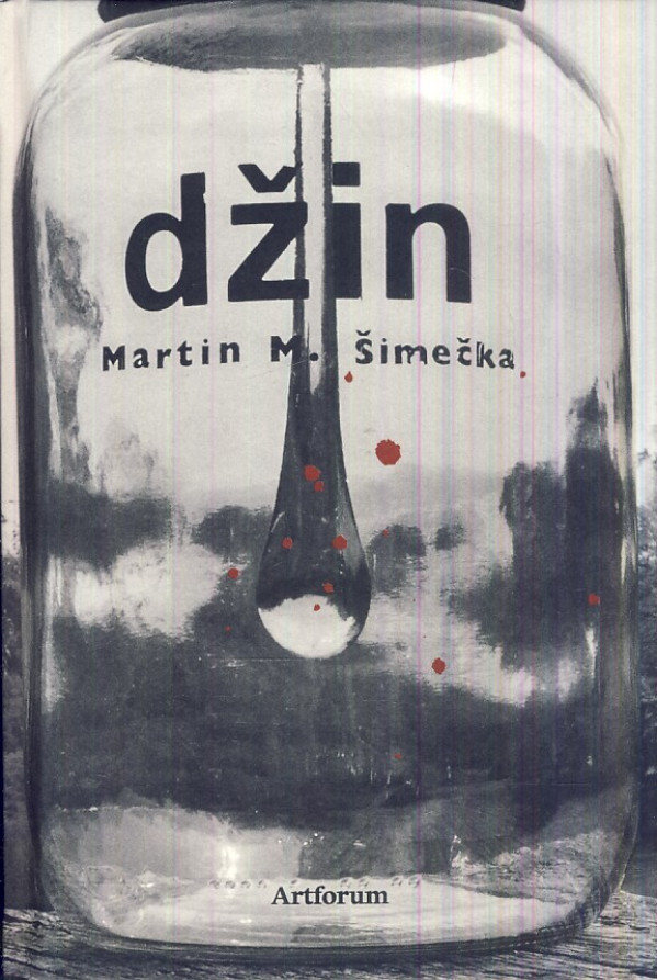 Martin M. Šimečka: DŽIN