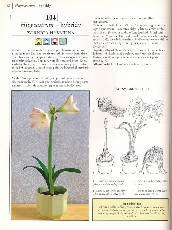 Richard Gilbert: 200 IZBOVÝCH RASTLÍN PRE KAŽDÉHO