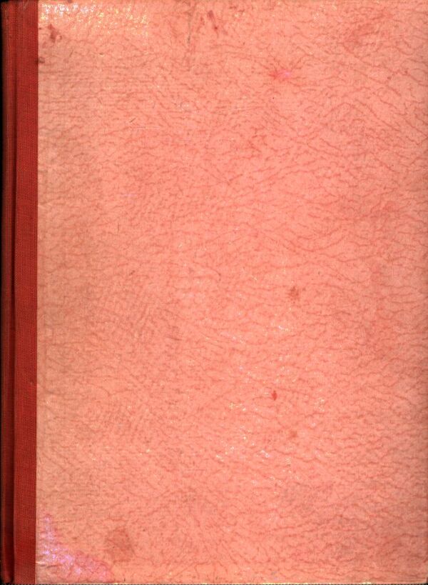 František Bokes: DEJINY SLOVENSKA A SLOVÁKOV