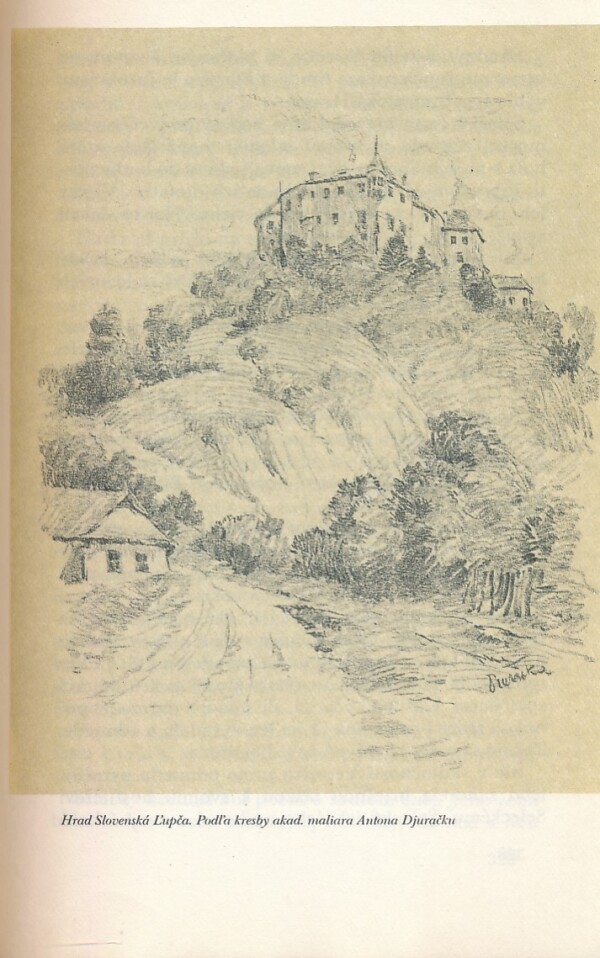 Ľudovít Janota: SLOVENSKÉ HRADY