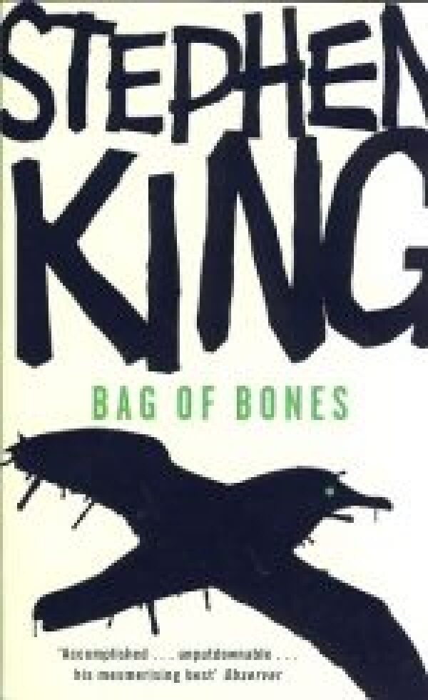 Stephen King: BAG OF BONES