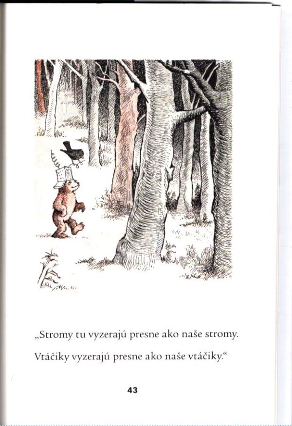 Else Holmelund Minarik: MALÝ MACKO