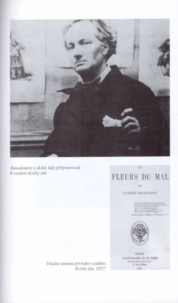 Henri Troyat: BAUDELAIRE