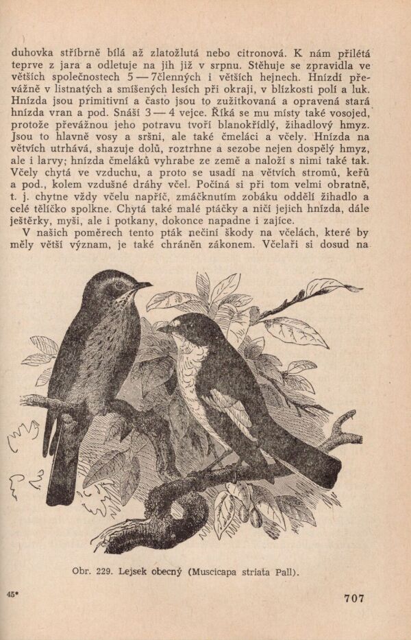 Beránek, Geisler, Lisý, Rošický, Savvin...: VČELAŘSKÁ ENCYKLOPEDIE