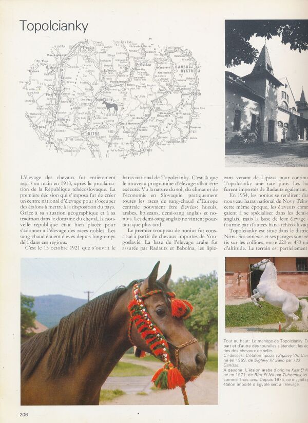 Jean J. Köhler: Les grands haras du monde