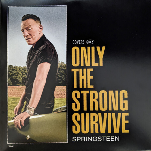 Bruce Springsteen: ONLY THE STRONG SURVIVE - 2LP