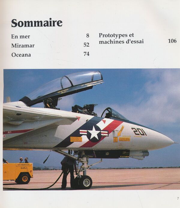 David F. Brown, Robert F. Dorr: Pilotes de Tomcat
