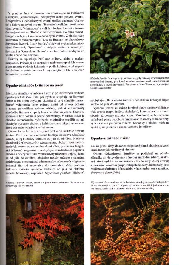 Čestmír Böhm, kol: ZÁHRADKÁRSKA ENCYKLOPÉDIA