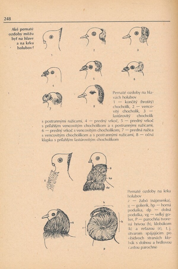 1000 RÁD DROBNOCHOVATEĽOM