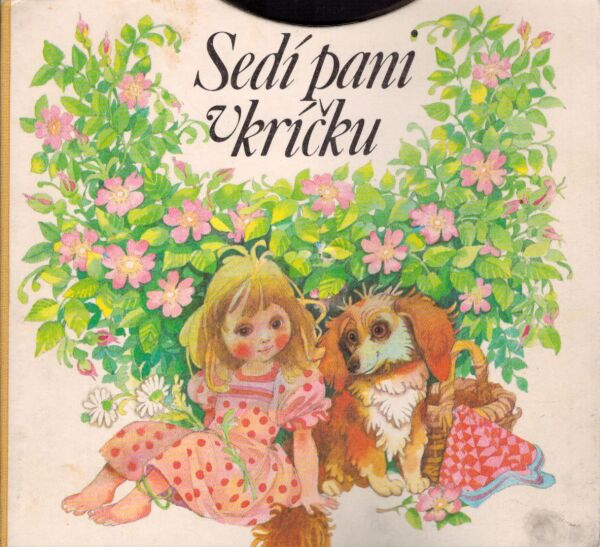 SEDÍ PANI V KRÍČKU