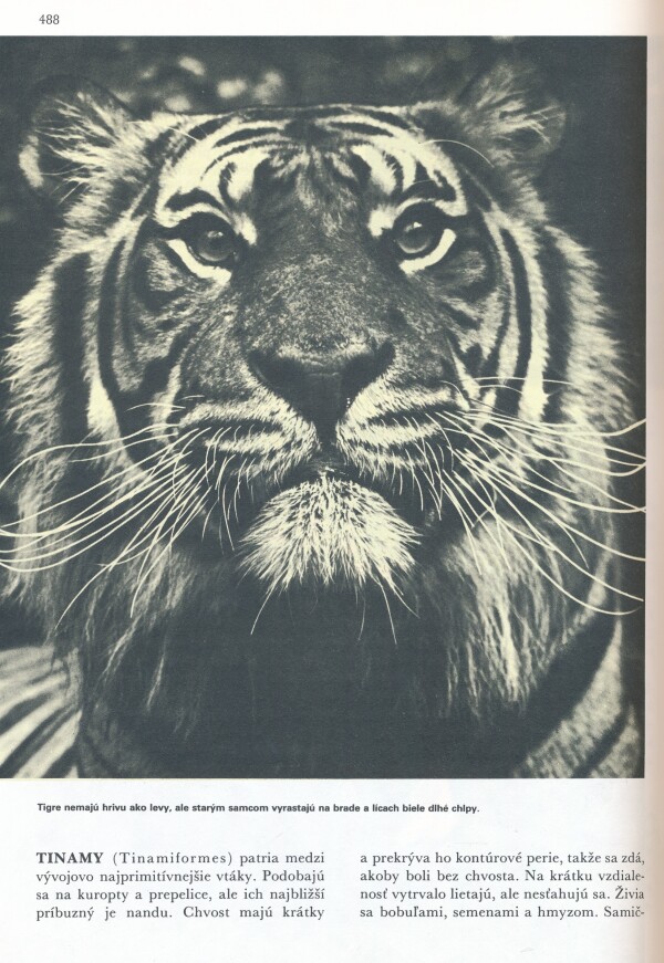 SVET ŽIVOČÍŠNEJ RÍŠE