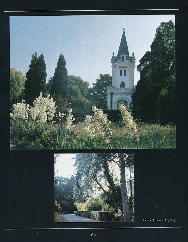 Rastislav Bero, Ivo Tábor, Ivan Tomaško: ARBORÉTUM MLYŇANY