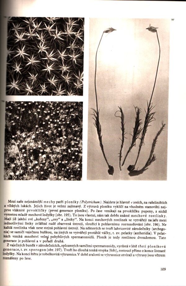 O. Jírovec, B. Bouček, J. Fiala: ŽIVOT POD DROBNOHLEDEM