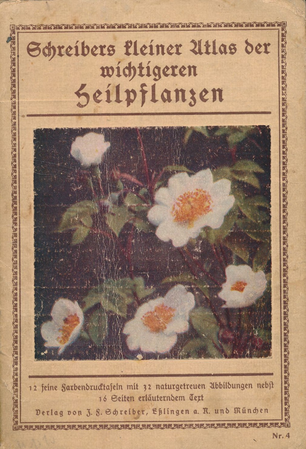 Schreibers kleiner Atlas der wichtigeren Heilpflanzen
