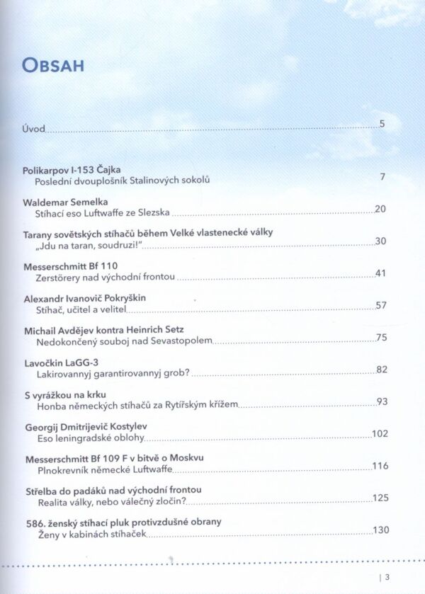 Marek Brzkovský: STÍHAČI NAD VÝCHODNÍ FRONTOU
