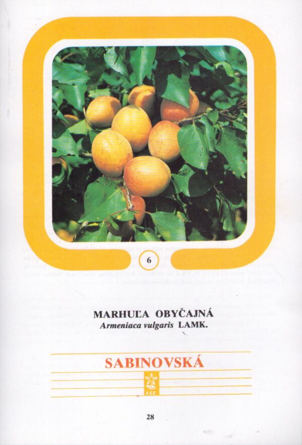 Ivan Hričovský: POMOLÓGIA KÔSTKOVÍN