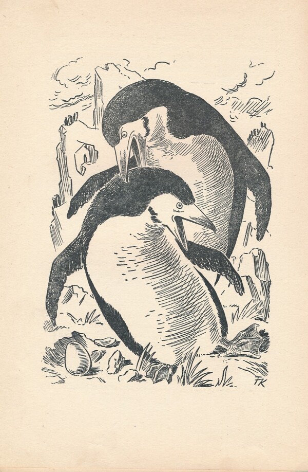 Viera Vidová: ROZPRÁVKY O ZVIERATKÁCH