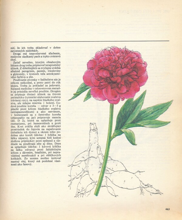 Kresánek, Krejča: ATLAS LIEČIVÝCH RASTLÍN A LESNÝCH PLODOV