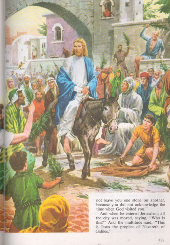 THE CHILDREN'S BIBLE IN COLOUR