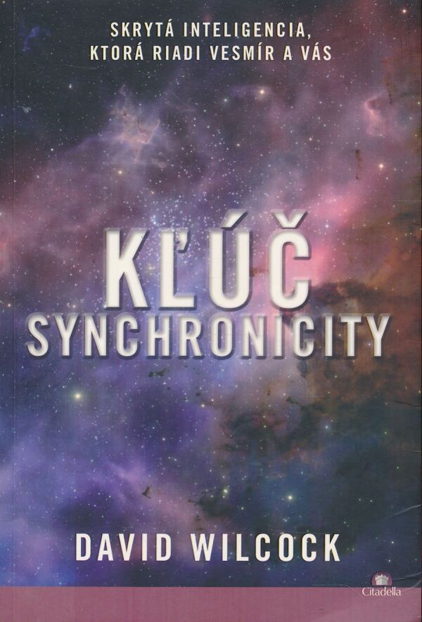 David Wilcock: Kľúč synchronicity