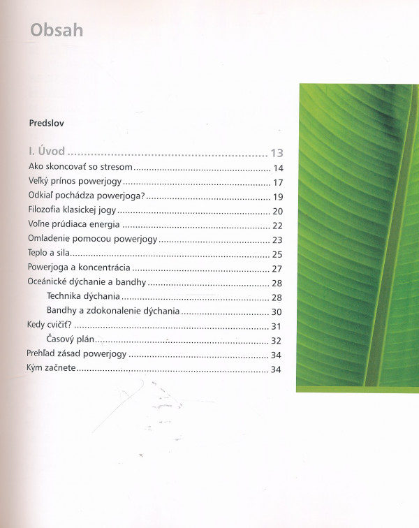 Christa G. Tranzinski, Robert S. Polster: POWERJOGA