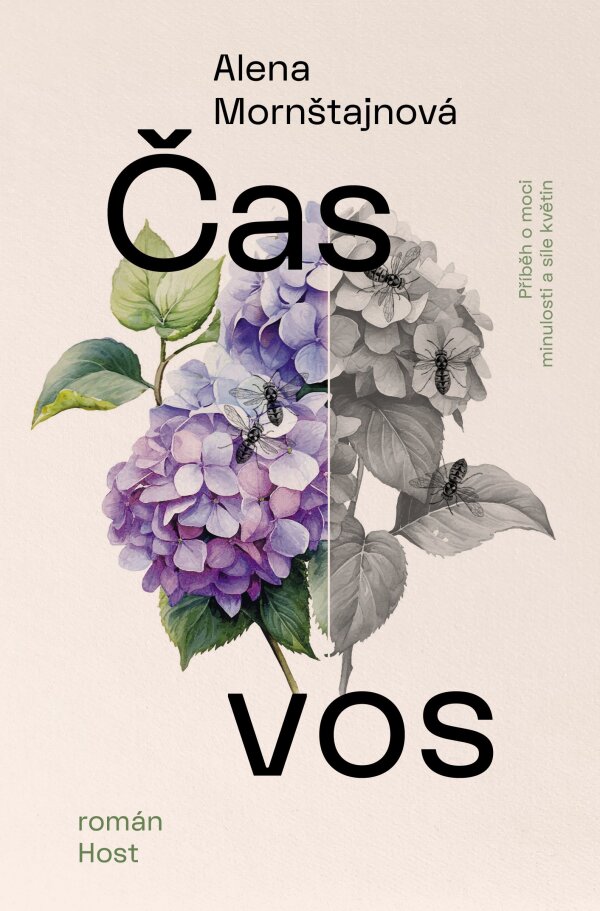 Alena Mornštajnová: ČAS VOS