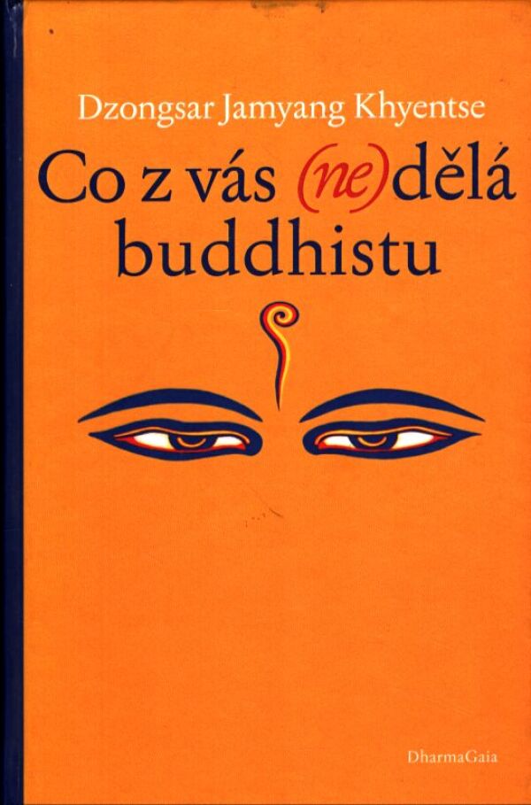 Dzongsar Jamyang Khyentse: CO Z VÁS (NE)DĚLÁ BUDDHISTU